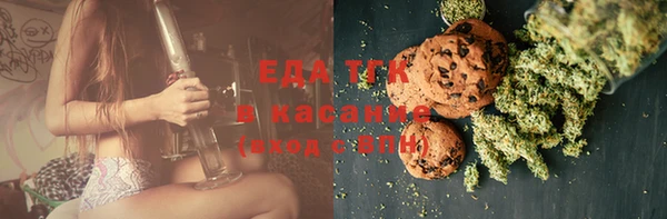 прущие грибы Волоколамск