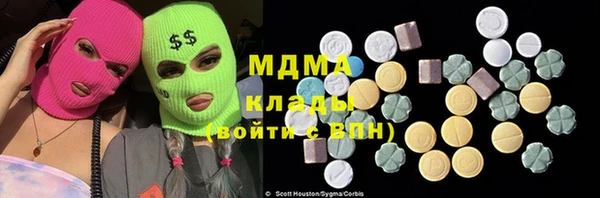 прущие грибы Волоколамск
