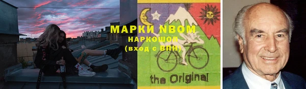 прущие грибы Волоколамск