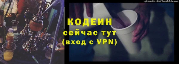 прущие грибы Волоколамск