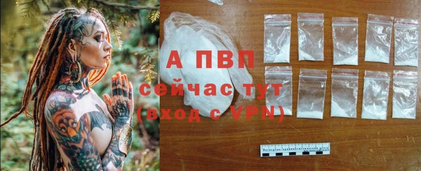 шишки Волосово