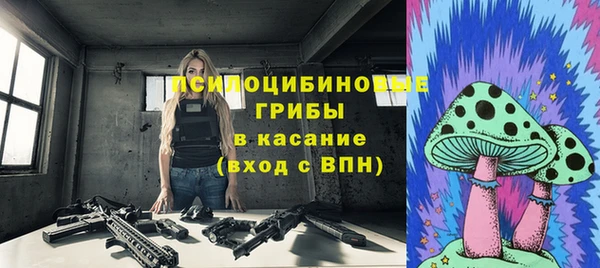 прущие грибы Волоколамск